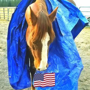 Meet your Posher, Beanie